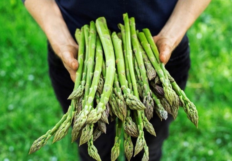 Resmi büyütmek için tıklayın

Resim Adı:	8dnc48py.jpg
Tıklanma:	5
Boyut:	117.6 KB
ID:	1129